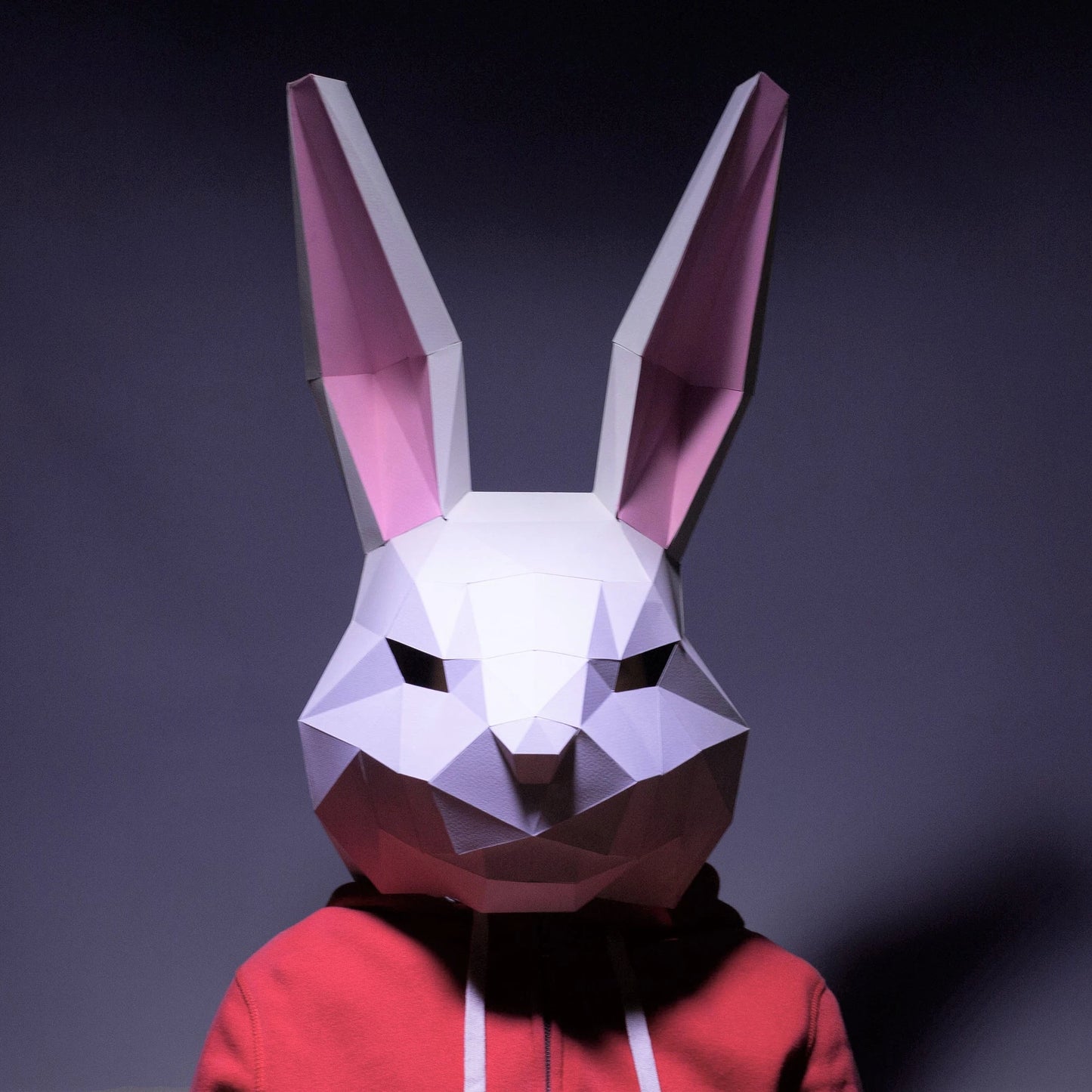 3D Origami animal masks